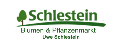 schlestein